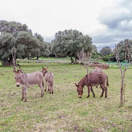 Agriturismo Biriddo Dorgali