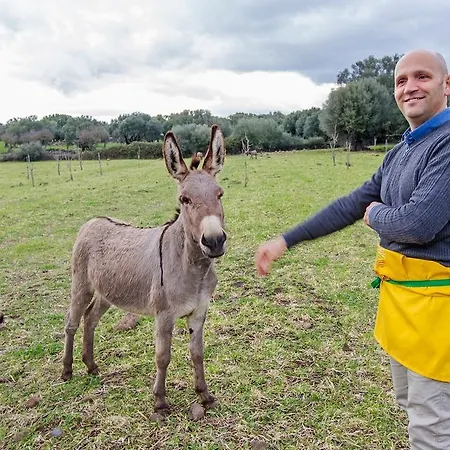 Κατάλυμα σε φάρμα Agriturismo Biriddo