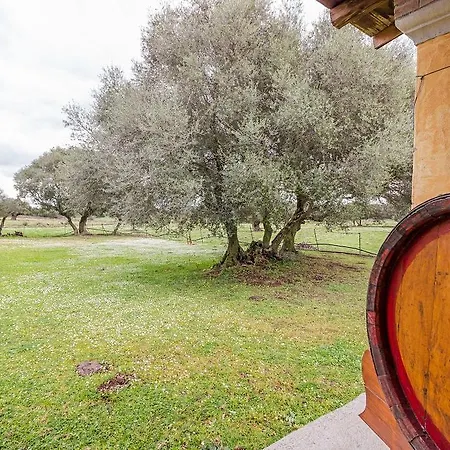 Κατάλυμα σε φάρμα Agriturismo Biriddo