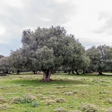Agriturismo Biriddo