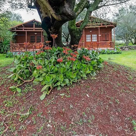 Κατάλυμα σε φάρμα Agriturismo Biriddo *